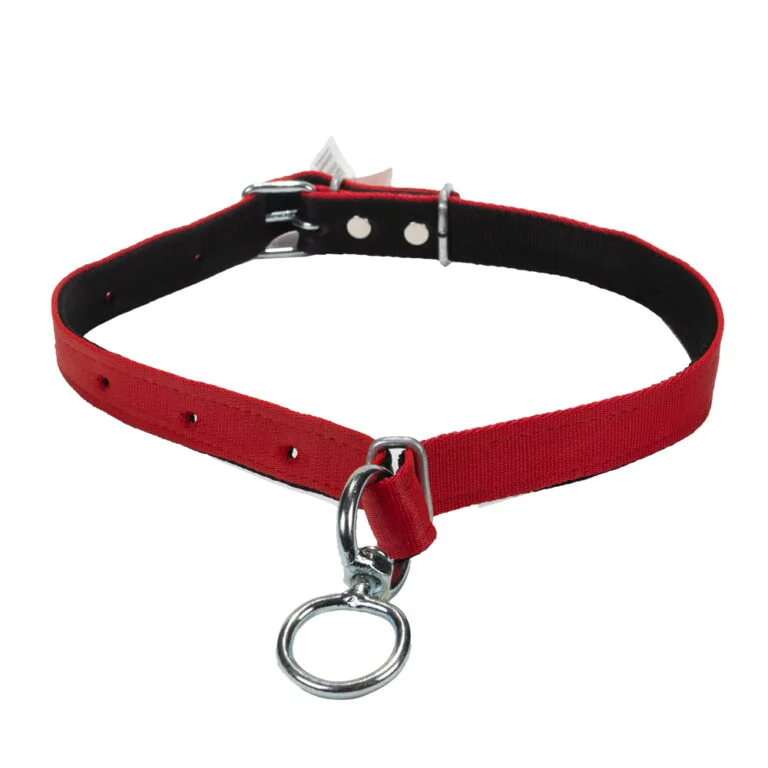 Obroża stanowiskowa dla cieląt L-100cm