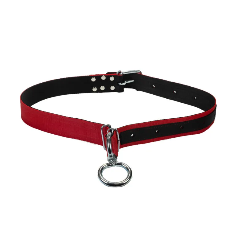 Obroża stanowiskowa dla Byka L-150cm