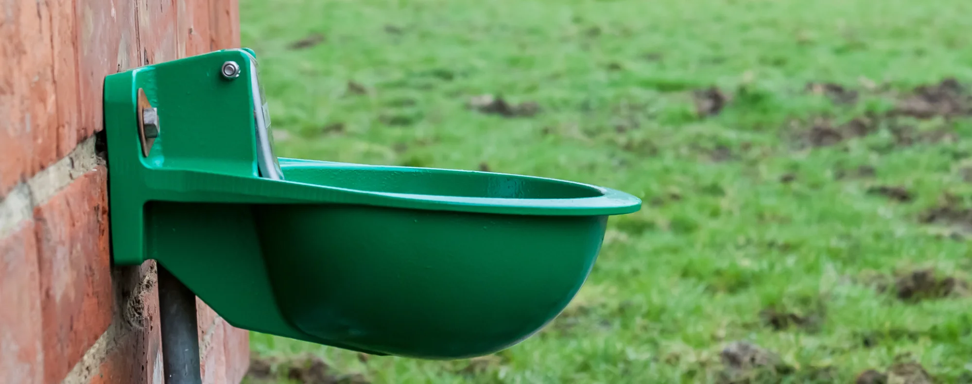 montaż poideł dla bydła