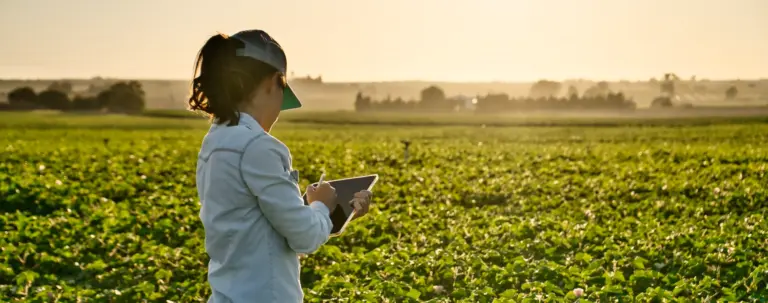 kobieta na polu - dofinansowanie do maszyn rolniczych