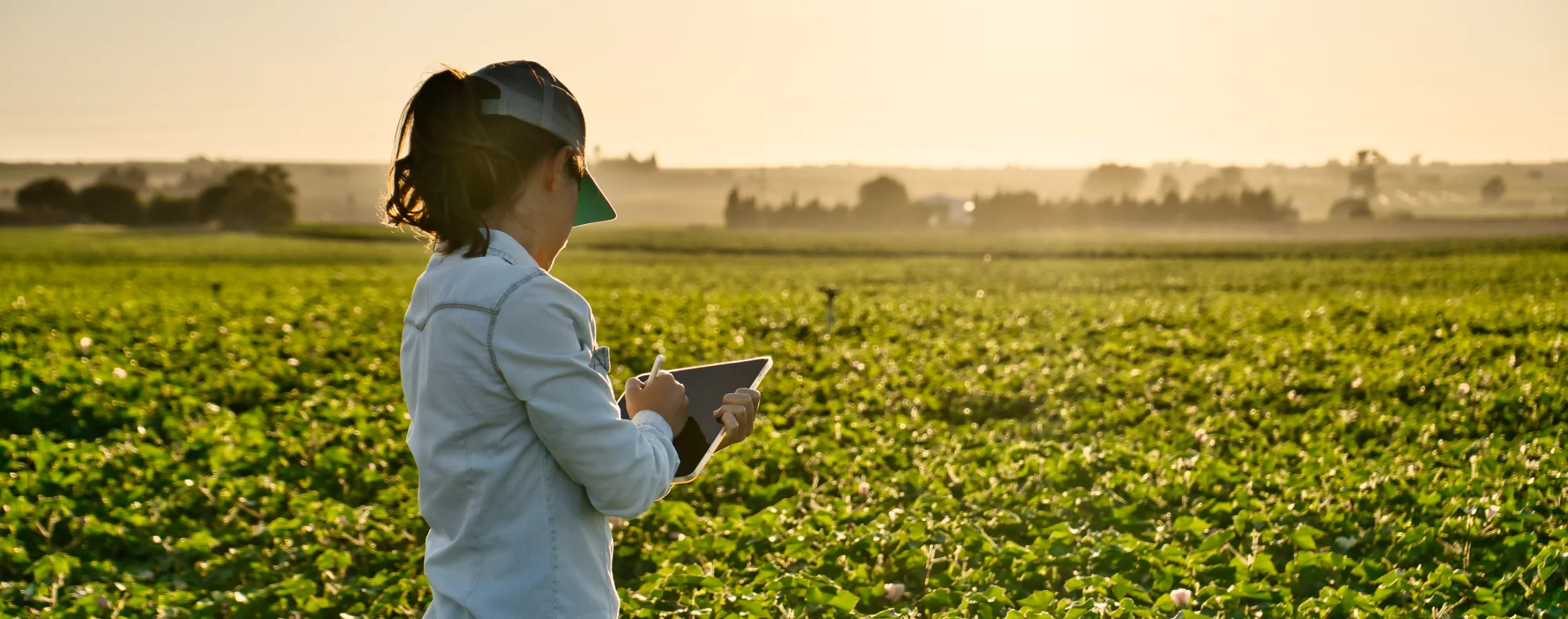 kobieta na polu - dofinansowanie do maszyn rolniczych