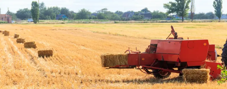 licznik kostek w prasie kostkującej