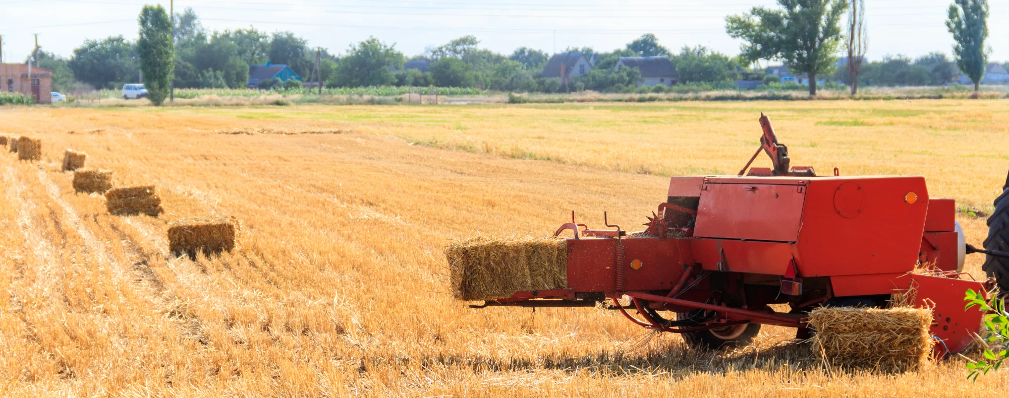 licznik kostek w prasie kostkującej